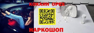индика Кузнецк