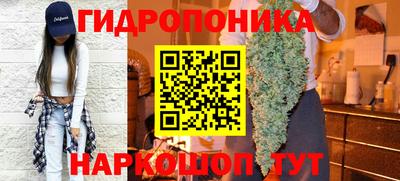 индика Кузнецк