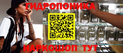 ПСИЛОЦИБИНОВЫЕ ГРИБЫ Кудрово
