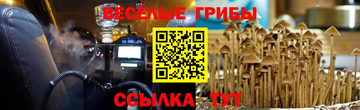 Галлюциногенные грибы Cubensis  Галлюциногенные грибы MAGIC MUSHROOMS  Кольчугино  Вход с VPN 
